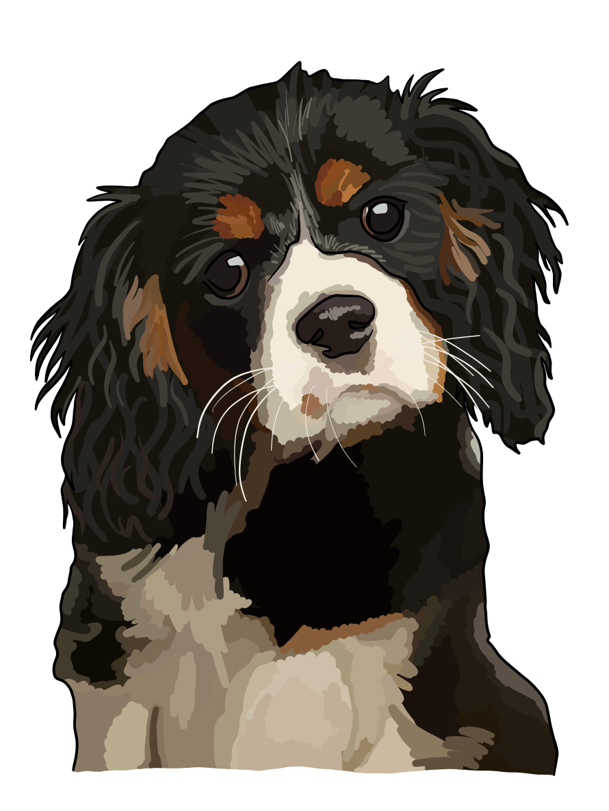 Standard Colour Portrait