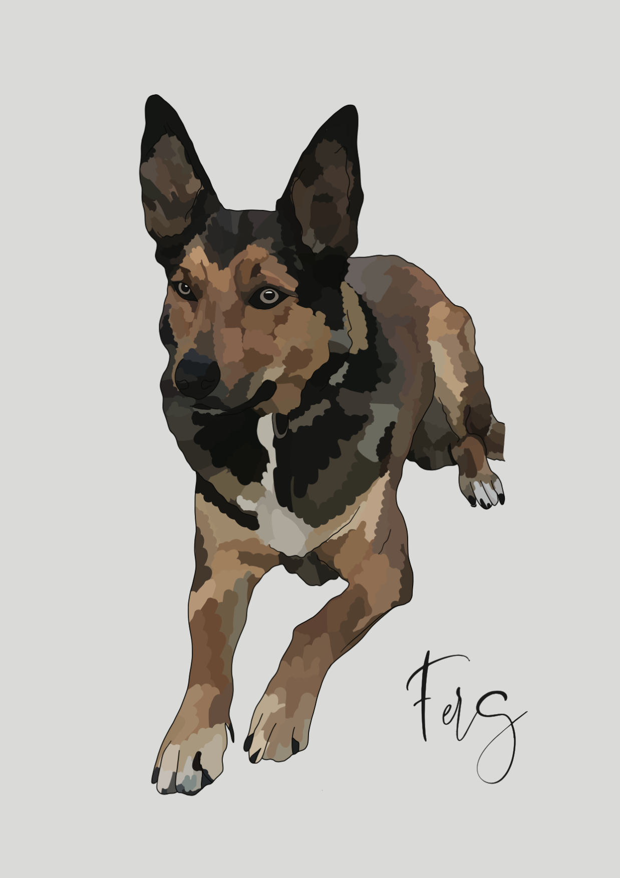 Standard Colour Portrait