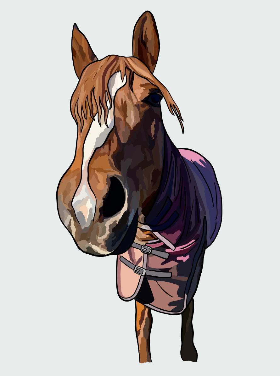 Standard Colour Portrait